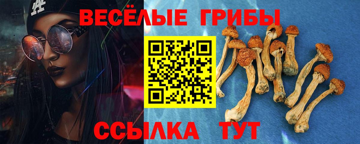 Псилоцибиновые грибы GOLDEN TEACHER Петропавловск-Камчатский