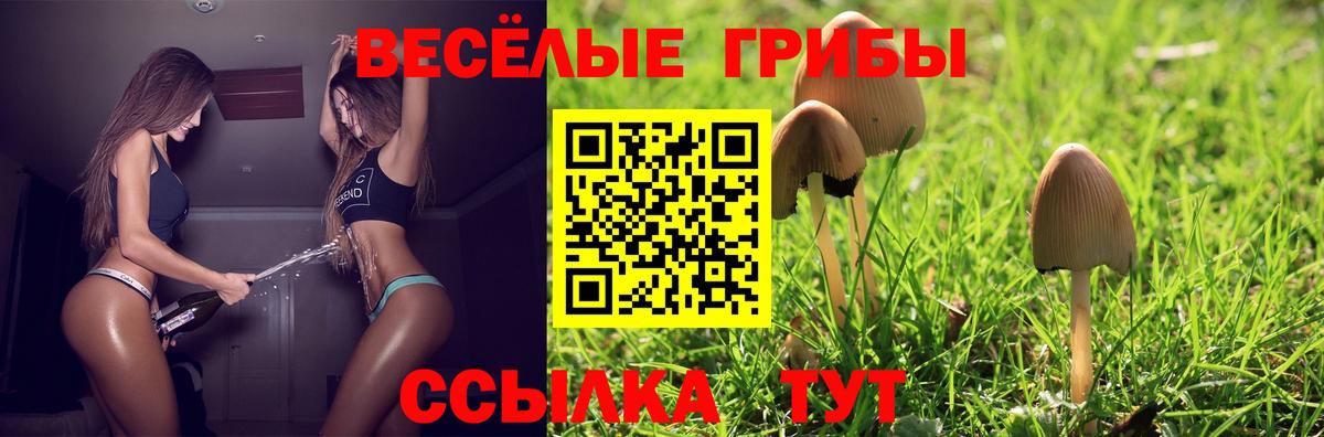 Псилоцибиновые грибы прущие грибы  Вход с VPN  Петропавловск-Камчатский 